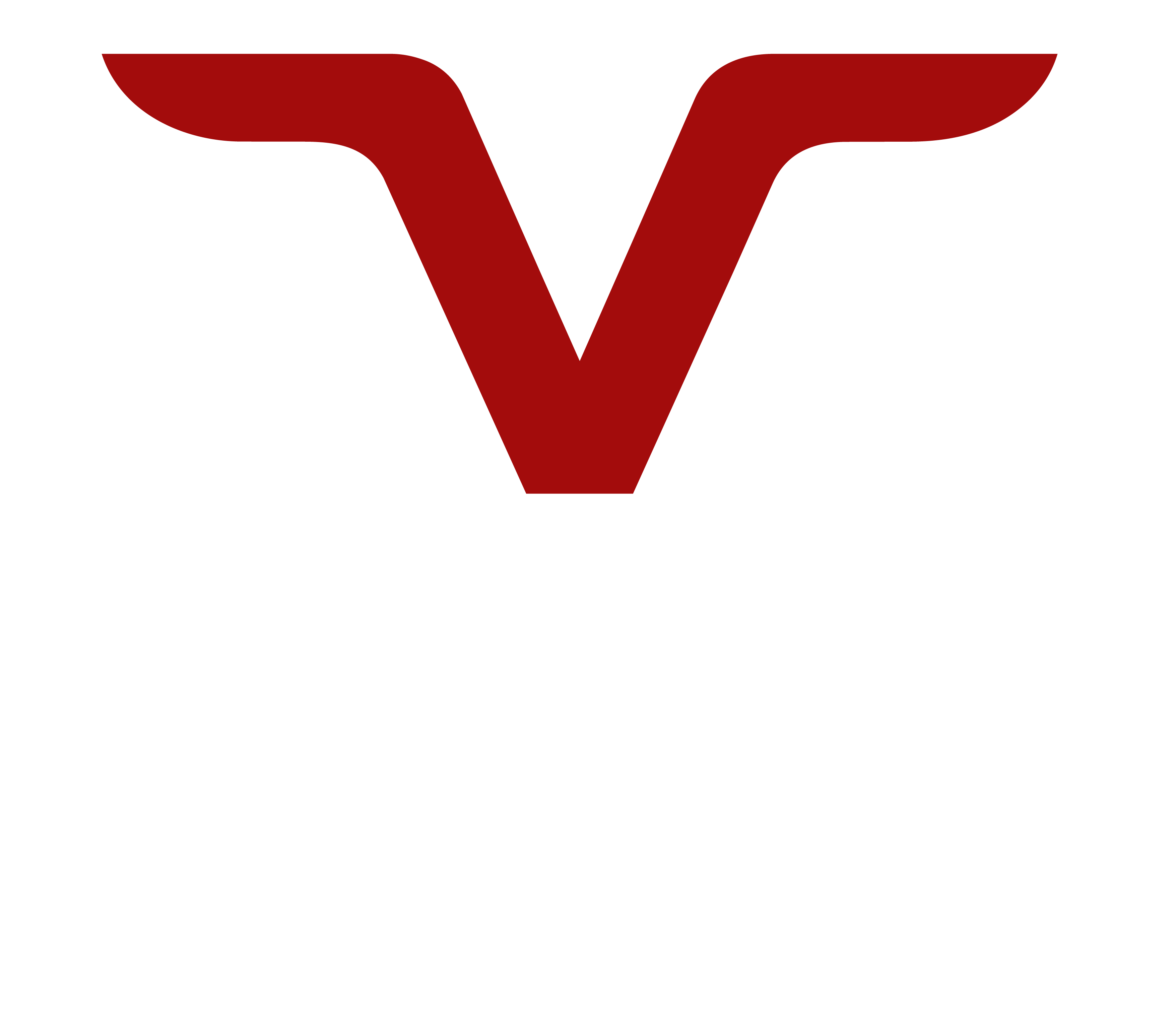 VSC TRANSPORT SERVICES